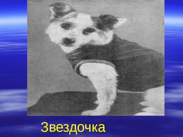 Звездочка  