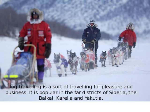 Dog-travelling is a sort of travelling for pleasure and business. It is popular in the far districts of Siberia, the Baikal, Karelia and Yakutia. 
