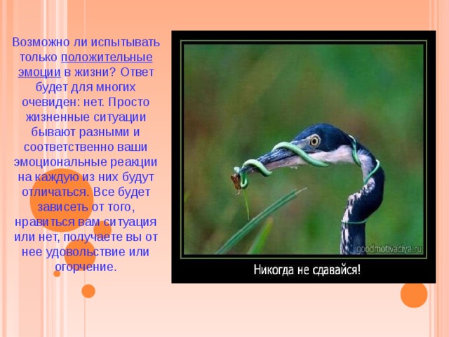 Возможно ли испытывать только положительные эмоции в жизни? Ответ будет для многих очевиден: нет. Просто жизненные ситуации бывают разными и соответственно ваши эмоциональные реакции на каждую из них будут отличаться. Все будет зависеть от того, нравиться вам ситуация или нет, получаете вы от нее удовольствие или огорчение. 