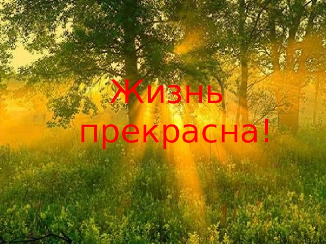  Жизнь прекрасна! 