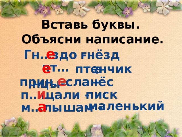 Вставь буквы.  Объясни написание.   Гн…здо -  е гнёзда   пт…нцы-  е  птенчик прин…сла -  е  нёс п…щали -  и  писк   маленький а  м…лышам -