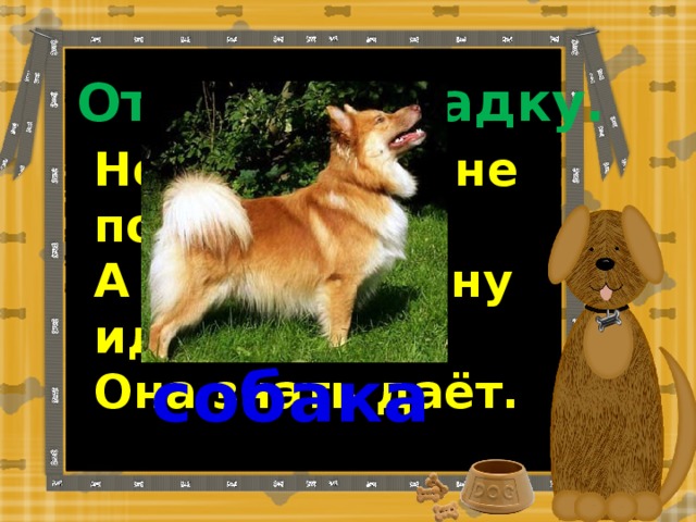 Отгадай загадку. Не говорит и не поёт, А кто к хозяину идёт, Она знать даёт. собака