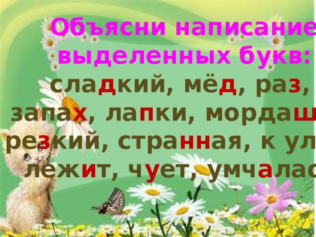 Объясни написание выделенных букв: сла д кий, мё д , ра з , запа х , ла п ки, морда ш ка, ре з кий, стра нн ая, к ул ь ю, леж и т, ч у ет, умч а лась.