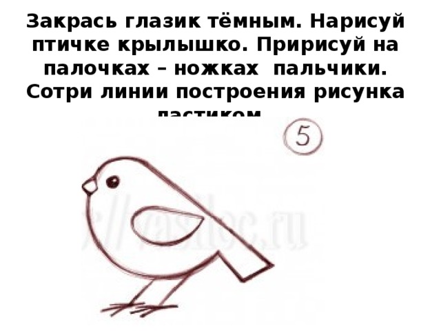 Закрась глазик тёмным. Нарисуй птичке крылышко. Пририсуй на палочках – ножках  пальчики. Сотри линии построения рисунка ластиком. 