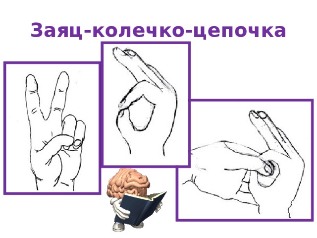 Заяц-колечко-цепочка 