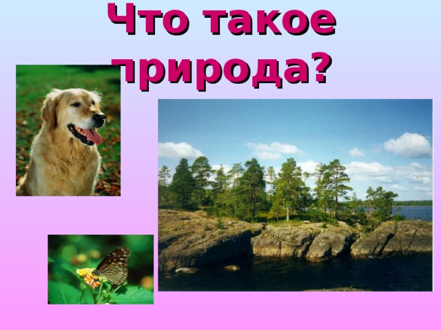 Что такое природа? 