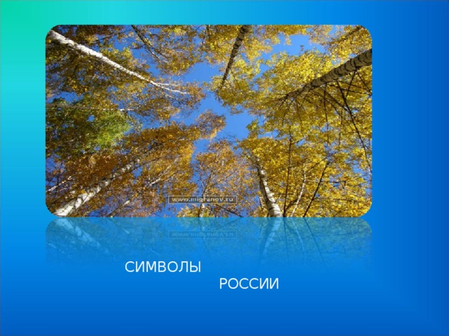  Символы  России 