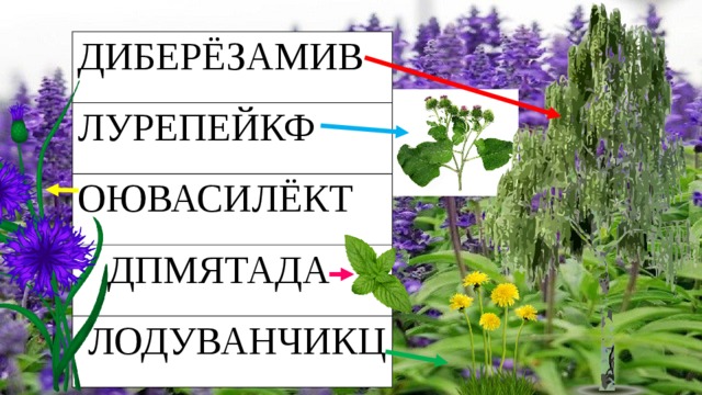 ДИБЕРЁЗАМИВ ЛУРЕПЕЙКФ ОЮВАСИЛЁКТ  ДПМЯТАДА  ЛОДУВАНЧИКЦ 