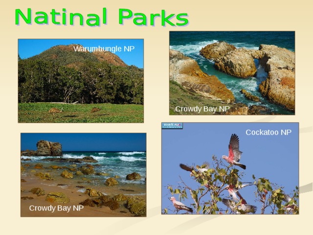 Warumbungle NP Crowdy Bay NP Cockatoo NP Crowdy Bay NP 