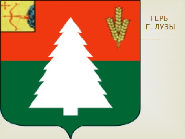 ГЕРБ  Г. ЛУЗЫ 