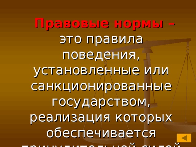  Правовые нормы – это правила поведения, установленные или санкционированные государством, реализация которых обеспечивается принудительной силой государства 