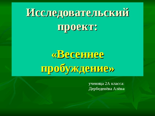 Исследовательский проект:   «Весеннее пробуждение» ученица 2А класса: Дербеденёва Алёна 