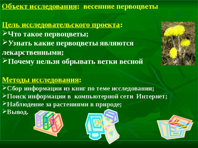Объект исследования : весенние первоцветы   Цель исследовательского проекта : Что такое первоцветы; Узнать какие первоцветы являются лекарственными; Почему нельзя обрывать ветки весной  Методы исследования : Сбор информации из книг по теме исследования; Поиск информации в компьютерной сети Интернет; Наблюдение за растениями в природе; Вывод.    