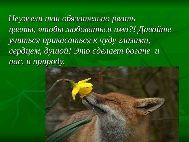  Неужели так обязательно рвать цветы, чтобы любоваться ими?! Давайте учиться прикасаться к чуду глазами, сердцем, душой! Это сделает богаче и нас, и природу. 