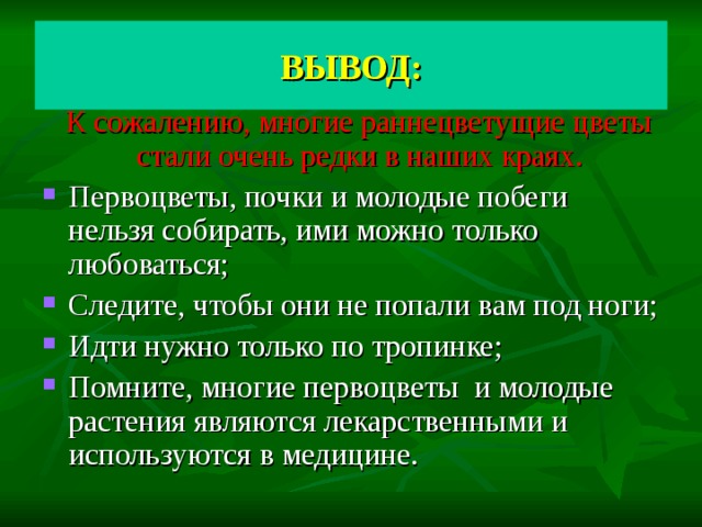 ВЫВОД:  К сожалению, многие раннецветущие цветы стали очень редки в наших краях. Первоцветы, почки и молодые побеги нельзя собирать, ими можно только любоваться; Следите, чтобы они не попали вам под ноги; Идти нужно только по тропинке; Помните, многие первоцветы и молодые растения являются лекарственными и используются в медицине.  