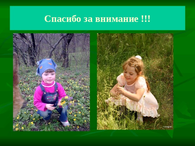 Спасибо за внимание !!! 