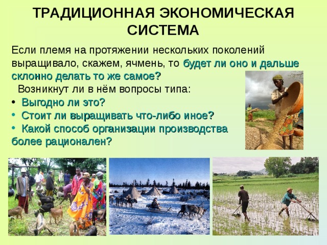 ТРАДИЦИОННАЯ ЭКОНОМИЧЕСКАЯ СИСТЕМА Если племя на протяжении нескольких поколений выращивало, скажем, ячмень, то будет ли оно и дальше склонно делать то же самое?  Возникнут ли в нём вопросы типа:  Выгодно ли это?  Стоит ли выращивать что-либо иное?  Какой способ организации производства более рационален? 