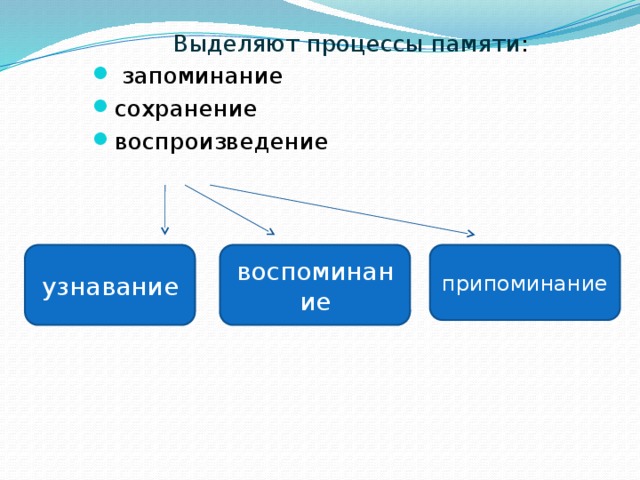 Выделяют процессы памяти :  запоминание сохранение воспроизведение узнавание воспоминание припоминание 