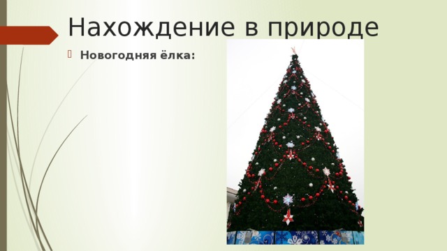 Нахождение в природе Новогодняя ёлка: 