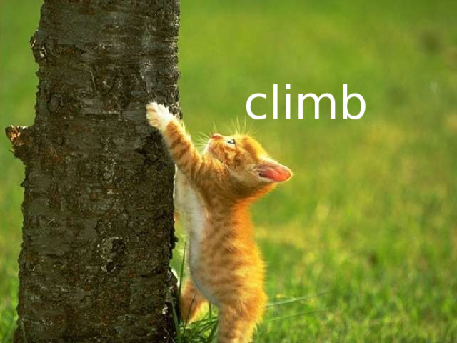 climb 