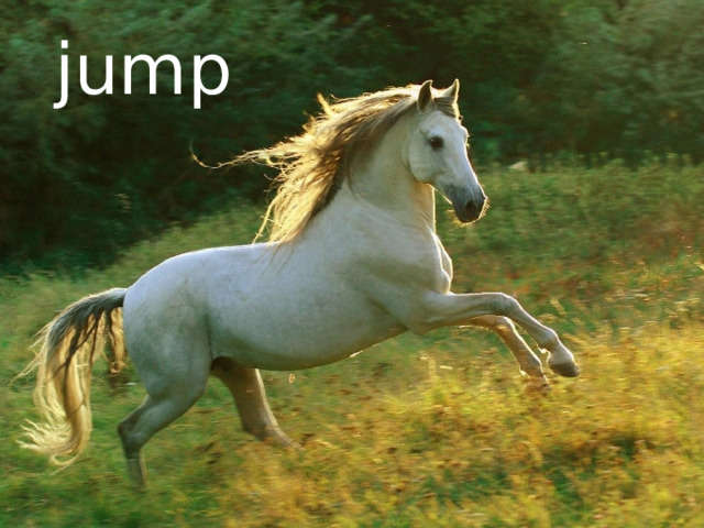 jump 