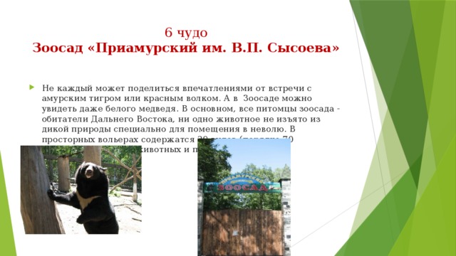 6 чудо  Зоосад «Приамурский им. В.П. Сысоева»   Не каждый может поделиться впечатлениями от встречи с амурским тигром или красным волком. А в  Зоосаде можно увидеть даже белого медведя. В основном, все питомцы зоосада - обитатели Дальнего Востока, ни одно животное не изъято из дикой природы специально для помещения в неволю. В просторных вольерах содержатся 29 видов (порядка 70 экземпляров) диких животных и птиц. 