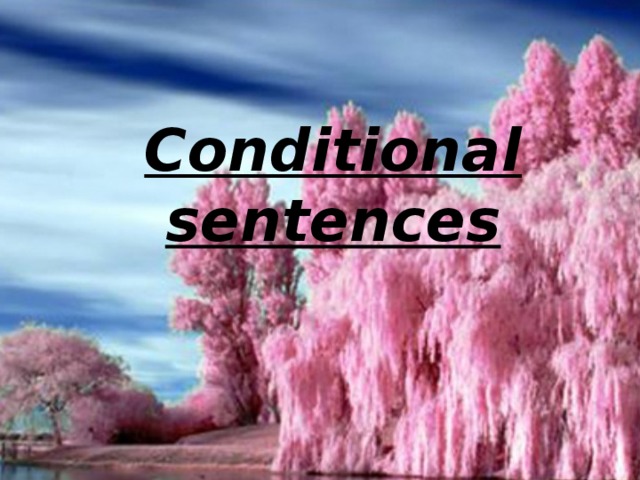 Conditional sentences 