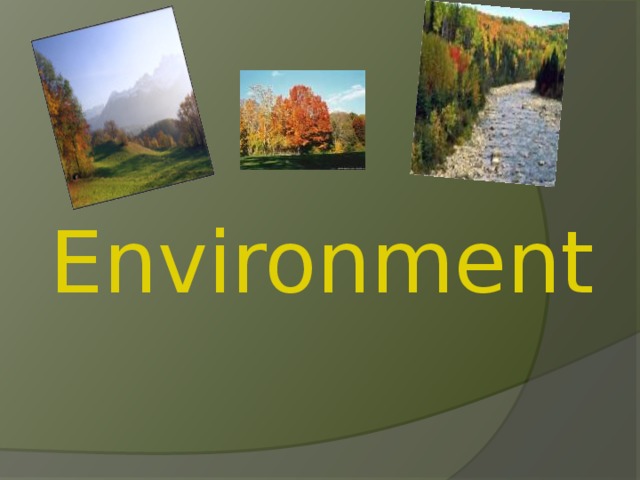 Environment 