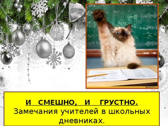  И СМЕШНО, И ГРУСТНО. Замечания учителей в школьных дневниках.  