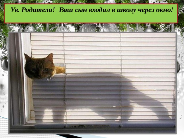 Ув. Родители! Ваш сын входил в школу через окно! 