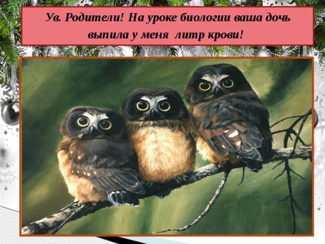 Ув. Родители! На уроке биологии ваша дочь выпила у меня литр крови!   