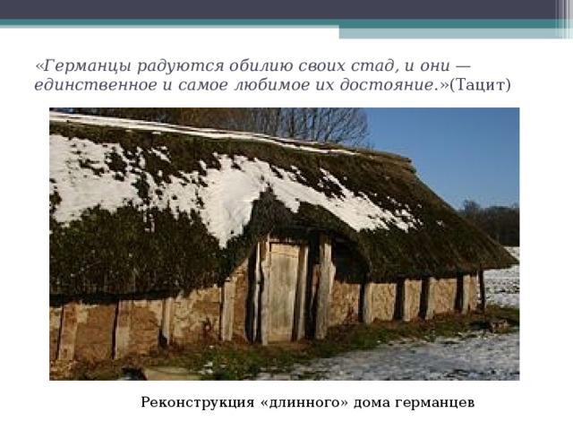 « Германцы радуются обилию своих стад, и они — единственное и самое любимое их достояние. »(Тацит) Реконструкция «длинного» дома германцев 