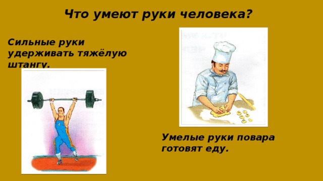 Что умеют руки человека? Сильные руки удерживать тяжёлую штангу. Умелые руки повара готовят еду. 