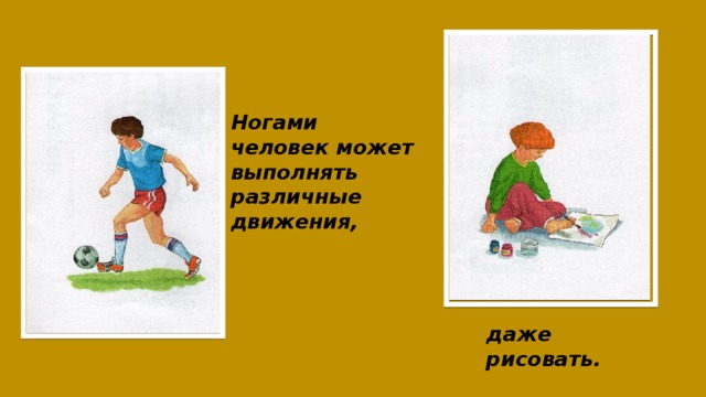 Ногами человек может выполнять различные движения, даже рисовать. 