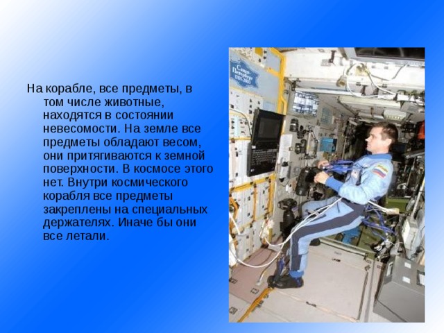 На корабле, все предметы, в том числе животные, находятся в состоянии невесомости. На земле все предметы обладают весом, они притягиваются к земной поверхности. В космосе этого нет. Внутри космического корабля все предметы закреплены на специальных держателях. Иначе бы они все летали. 