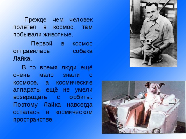  Прежде чем человек полетел в космос, там побывали животные.  Первой в космос отправилась собака Лайка.  В то время люди ещё очень мало знали о космосе, а космические аппараты ещё не умели возвращать с орбиты. Поэтому Лайка навсегда осталась в космическом пространстве. 