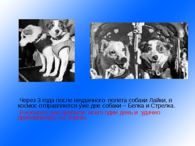  Через 3 года после неудачного полета собаки Лайки, в космос отправляются уже две собаки – Белка и Стрелка.  В космосе они пробыли всего один день и удачно приземлились на Землю. 
