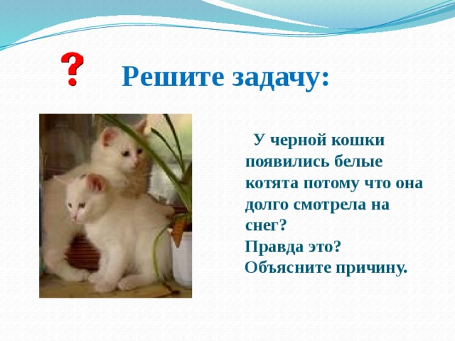  Решите задачу:   У черной кошки появились белые котята потому что она долго смотрела на снег?  Правда это?  Объясните причину. 
