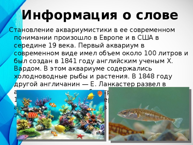 Информация о слове Становление аквариумистики в ее современном понимании произошло в Европе и в США в середине 19 века. Первый аквариум в современном виде имел объем около 100 литров и был создан в 1841 году английским ученым Х. Вардом. В этом аквариуме содержались холодноводные рыбы и растения. В 1848 году другой англичанин — Е. Ланкастер развел в аквариуме первых рыб — трехиглых колюшек. В 1849 году была открыта первая в мире экспозиция аквариумов и террариумов в Лондонском зоопарке.   