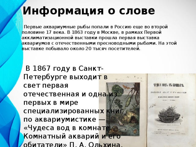 Информация о слове    Первые аквариумные рыбы попали в Россию еще во второй половине 17 века. В 1863 году в Москве, в рамках Первой акклиматизационной выставки прошла первая выставка аквариумов с отечественными пресноводными рыбами. На этой выставке побывало около 20 тысяч посетителей.   В 1867 году в Санкт-Петербурге выходит в свет первая отечественная и одна из первых в мире специализированных книг по аквариумистике — «Чудеса вод в комнате. Комнатный акварий и его обитатели» П. А. Ольхина.    