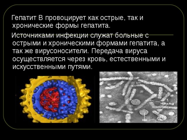  Гепатит В провоцирует как острые, так и хронические формы гепатита.  Источниками инфекции служат больные с острыми и хроническими формами гепатита, а так же вирусоносители. Передача вируса осуществляется через кровь, естественными и искусственными путями. 