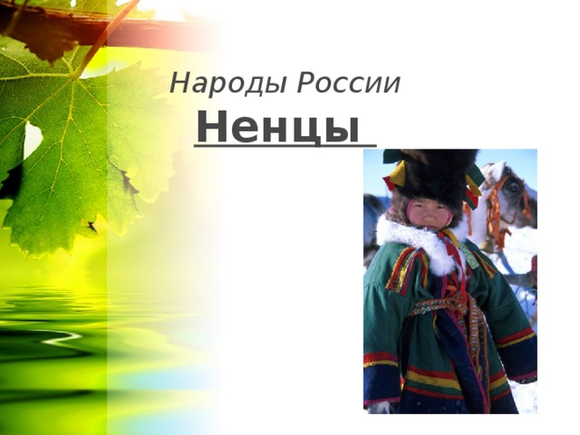 Народы России  Ненцы Ненцы 
