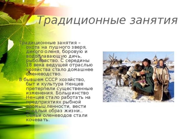 Традиционные занятия Традиционные занятия – охота на пушного зверя, дикого оленя, боровую и водоплавающую дичь, рыболовство. С середины 18 века ведущей отраслью хозяйства стало домашнее оленеводство. В бывшем СССР хозяйство, быт и культура Ненцев претерпели существенные изменения. Большинство Ненцев стало работать на предприятиях рыбной промышленности, вести оседлый образ жизни.. Семьи оленеводов стали кочевать. 