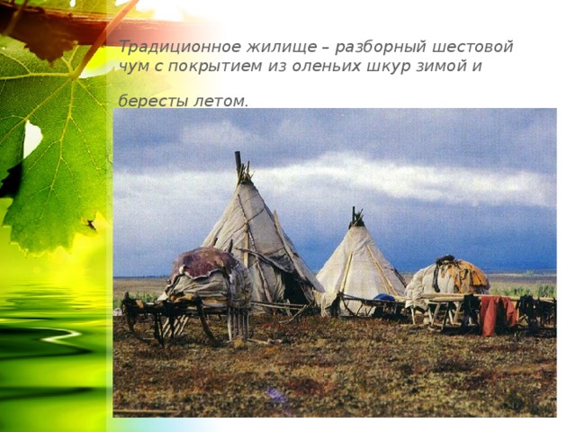 Традиционное жилище – разборный шестовой чум с покрытием из оленьих шкур зимой и бересты летом.  