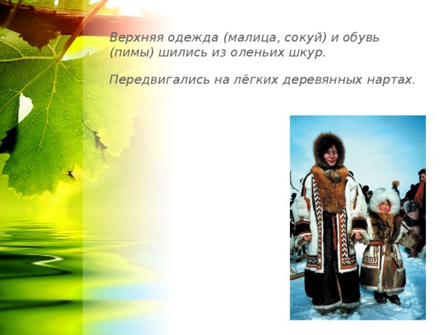 Верхняя одежда (малица, сокуй) и обувь (пимы) шились из оленьих шкур.  Передвигались на лёгких деревянных нартах.  