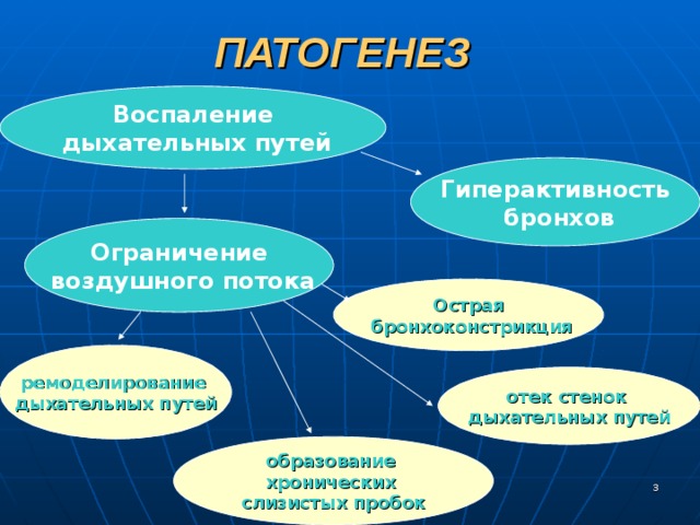 ПАТОГЕНЕЗ Воспаление  дыхательных путей Гиперактивность  бронхов Ограничение  воздушного потока Острая  бронхоконстрикция ремоделирование дыхательных путей отек  стенок дыхательных путей образование хронических слизистых пробок  