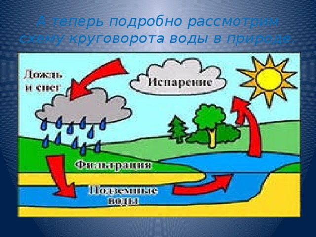 А теперь подробно рассмотрим схему круговорота воды в природе. 