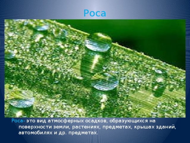 Роса Роса- это вид атмосферных осадков, образующихся на поверхности земли, растениях, предметах, крышах зданий, автомобилях и др. предметах. 