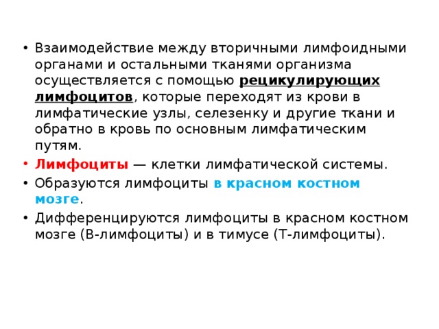 Взаимодействие между вторичными лимфоидными органами и остальными тканями организма осуществляется с помощью рецикулирующих лимфоцитов , которые переходят из крови в лимфатические узлы, селезенку и другие ткани и обратно в кровь по основным лимфатическим путям. Лимфоциты  — клетки лимфатической системы. Образуются лимфоциты в красном костном мозге . Дифференцируются лимфоциты в красном костном мозге (В-лимфоциты) и в тимусе (Т-лимфоциты). 