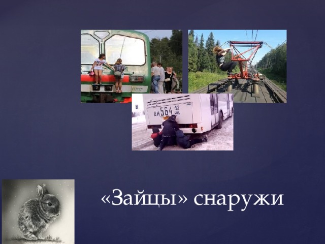 «Зайцы» снаружи   